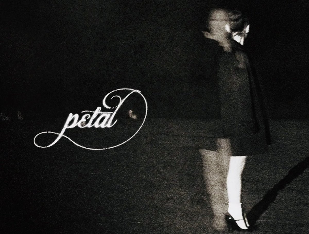 𝙼∀𝚇 𝚅𝚃𝚁𝙲 | 𝓹𝓮𝓽𝓪𝓵 જ⁀➴ |𝕸𝕬𝖄𝕳𝕰𝕸 tweet media