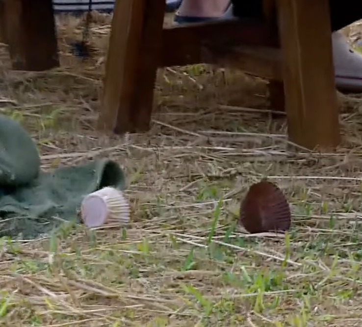 lucerina tweet media