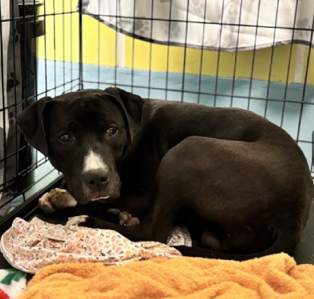 Quinn 💛(G.Quinn Rogers) tweet media