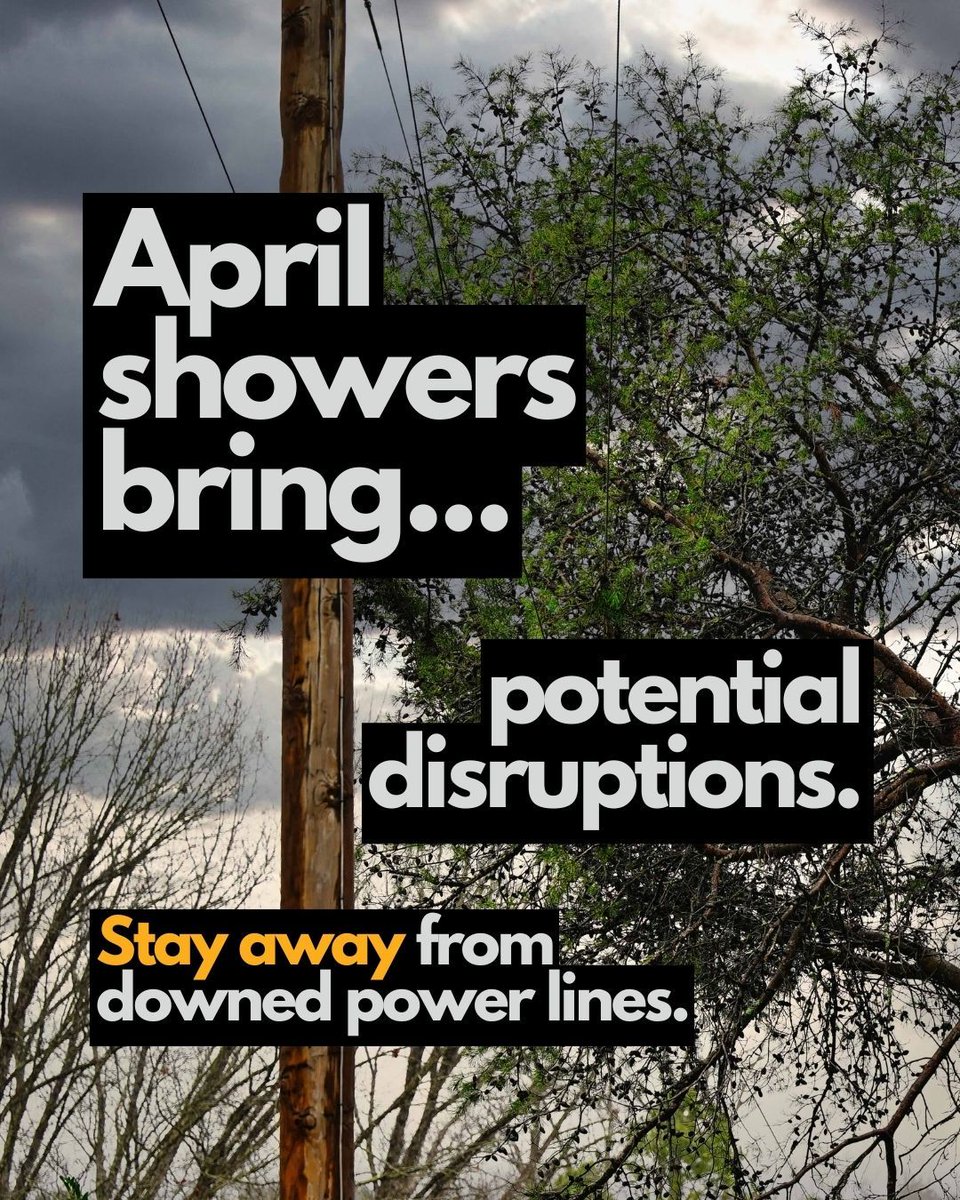 Southeastern Electric Cooperative tweet media