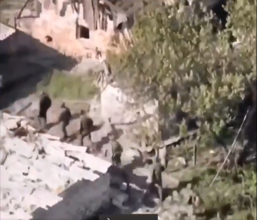 Tamed Orca tweet media