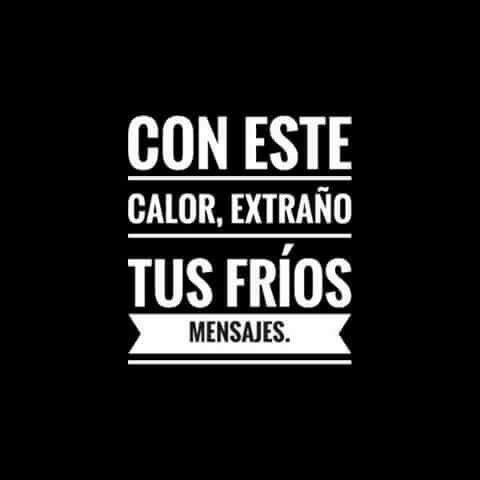 Braulio 🥑 tweet media