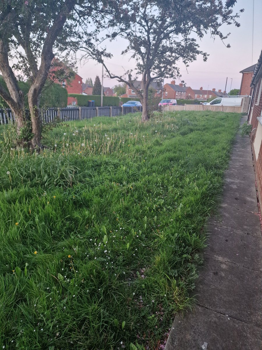 HamstarSteph's tweet photo. Severely allergic to long grass can cause a severe asthma attack council are fully aware as per consultant letter states @Go_CheshireWest mowers wont cut because the bush is overgrown and wont deal with that either https://t.co/SeCfpfGFNQ