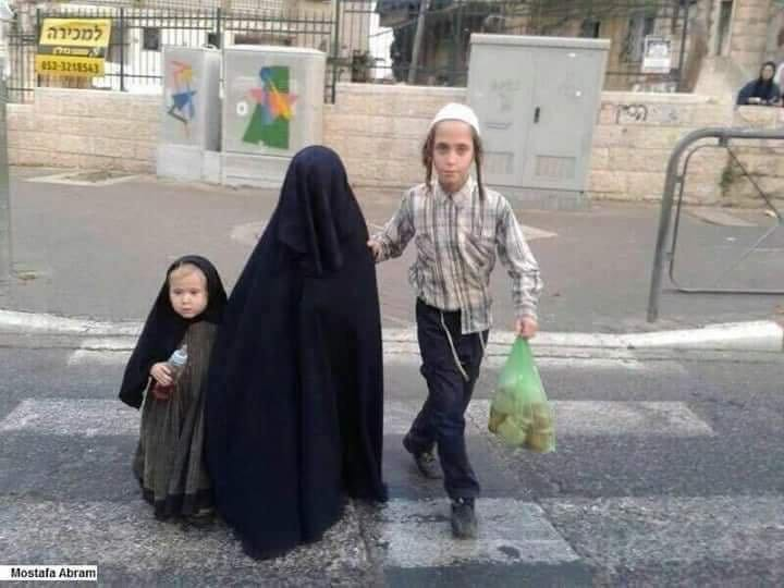 🇩🇿 1.2.3 viva l'algerie tweet media