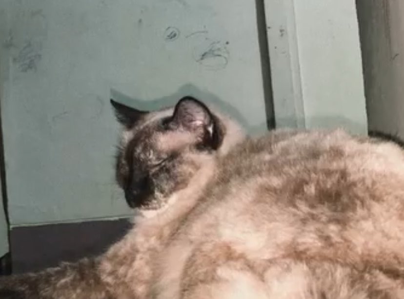 beckyyyy tweet media