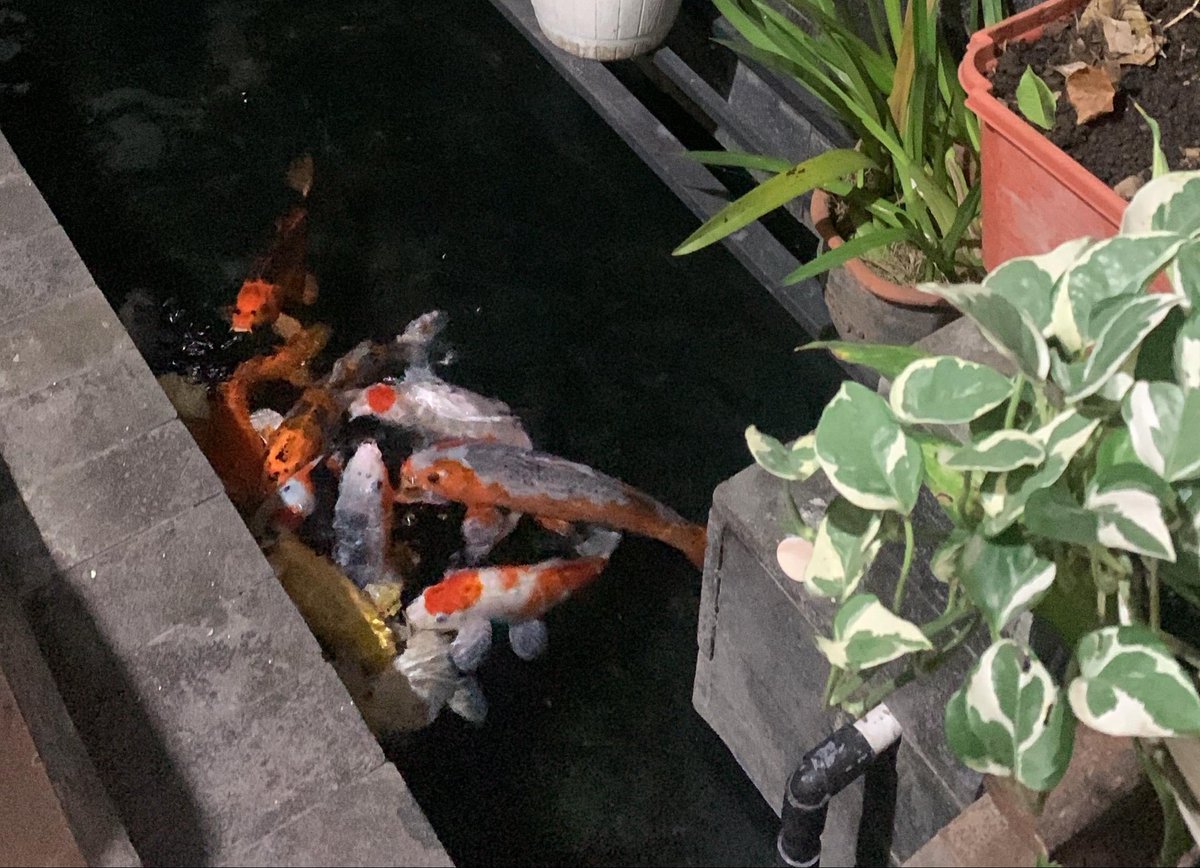 beckyyyy tweet media