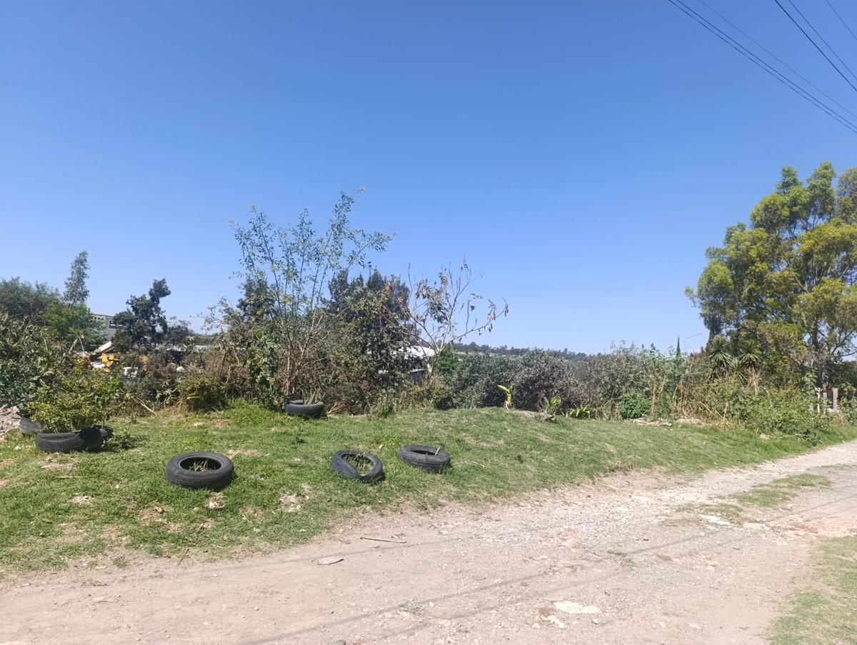 dumacri's tweet photo. @GuardabosqueUrb Hola cómo puedo solicitar árboles? para una zona que empecé a limpiar y reforestar, pero me faltan árboles
Ayuda por favor https://t.co/YSvzLwlBfV