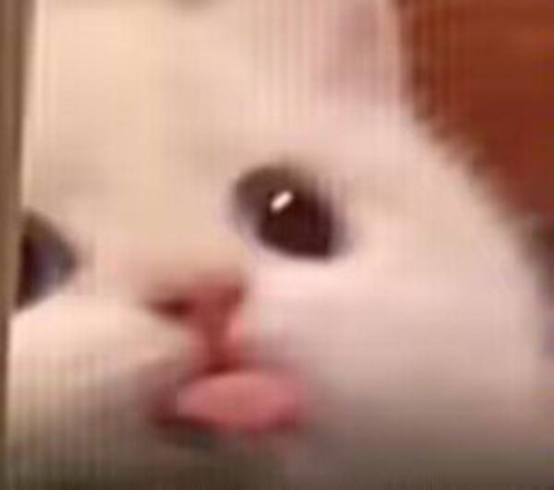 baby nini♡ tweet media