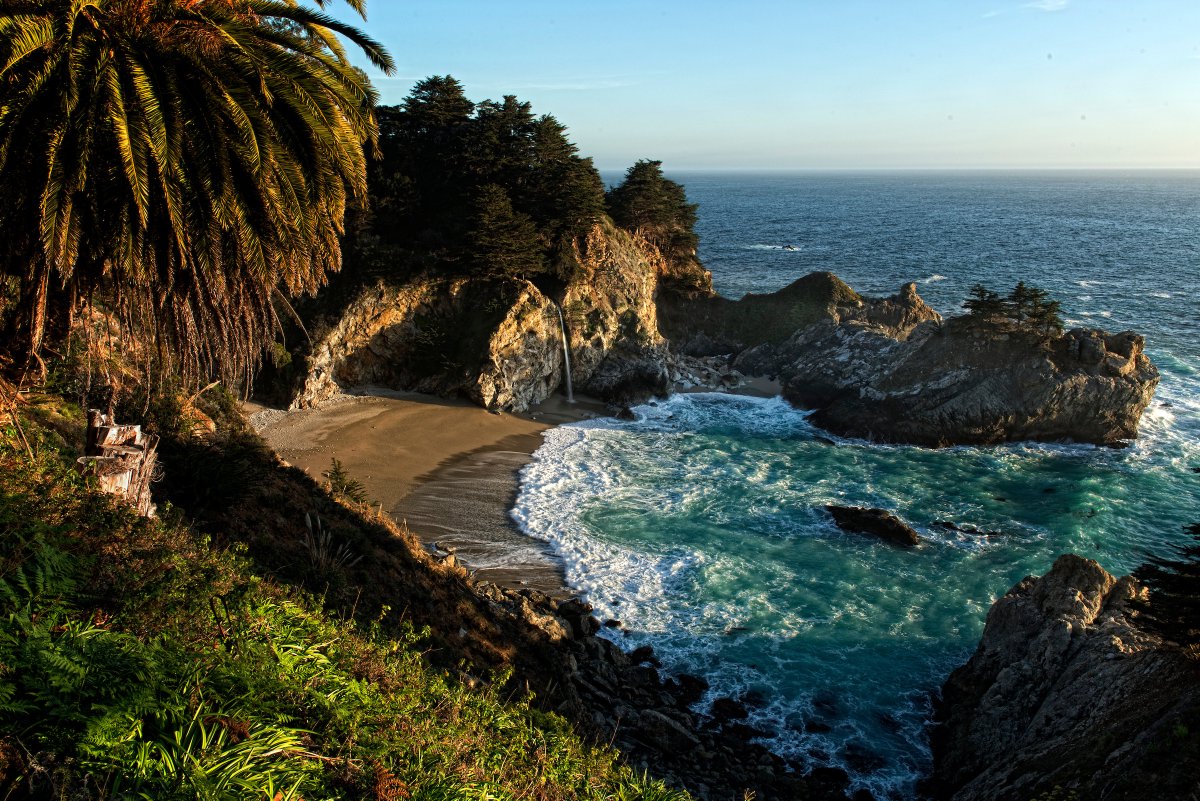 Governor Gavin Newsom tweet media