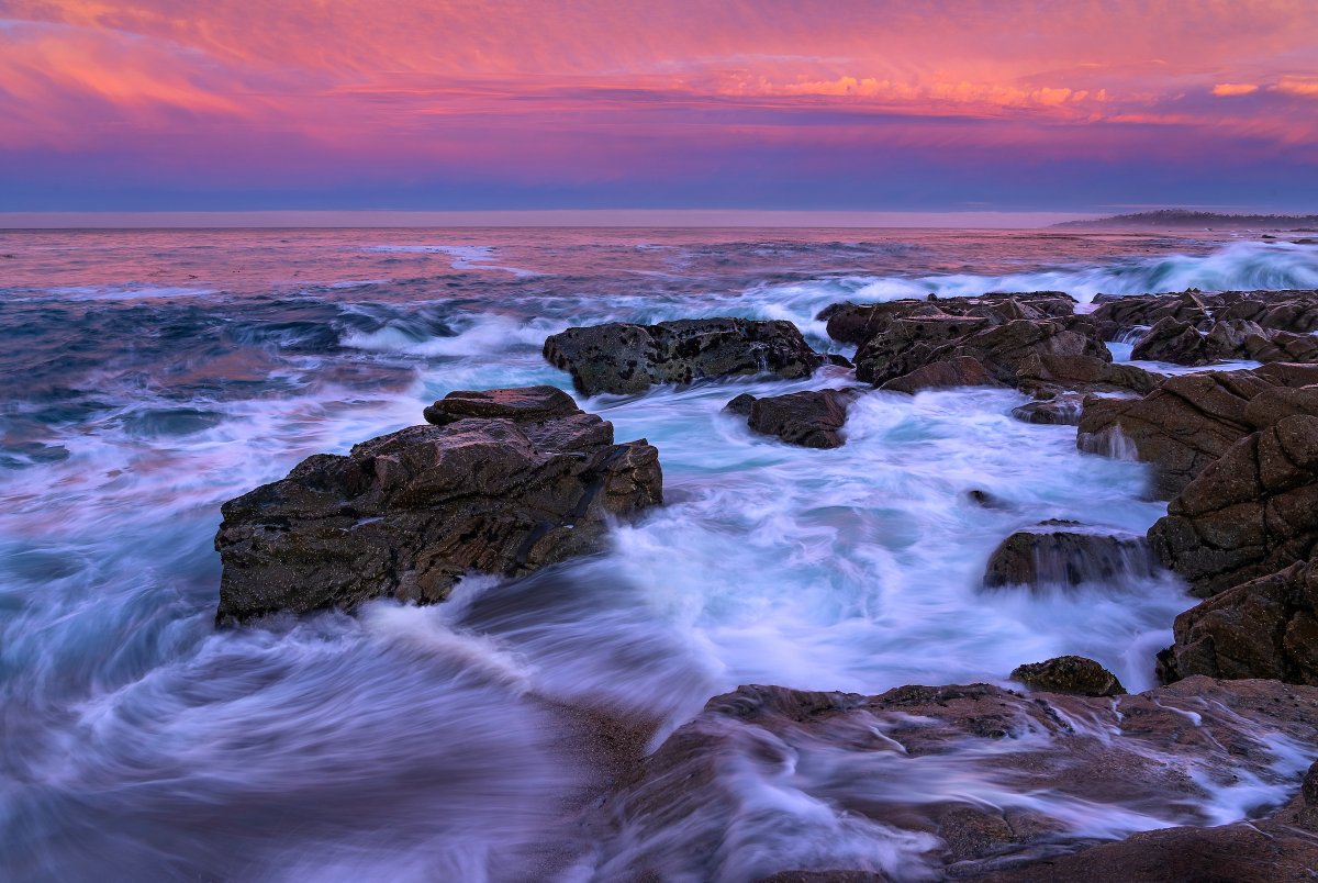 Governor Gavin Newsom tweet media