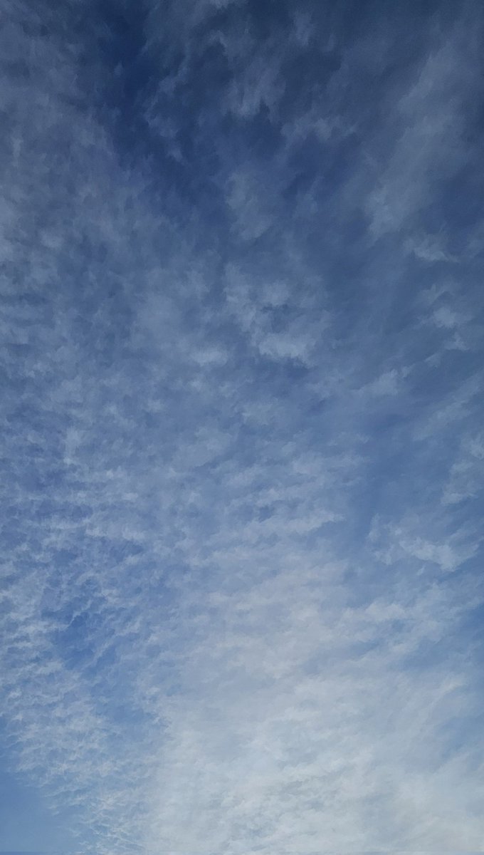 기사단원 1 tweet media