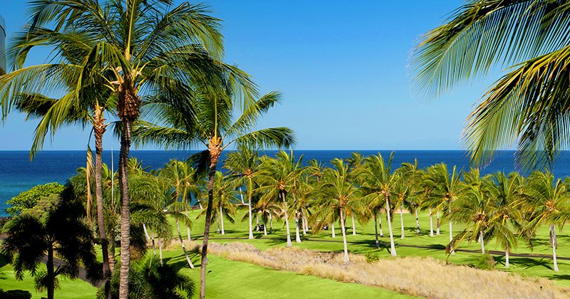 tropicalitytips's tweet image. Submerge yourself in complete paradise at Ocean Tower by Hilton Grand Vacations. ☀️🌴🌊 
tropicality.com/resorts/ocean-…
#vacations #luxurylifestyle #getaway #tropical