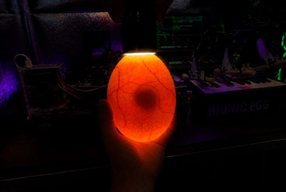 Bionic Egg tweet media