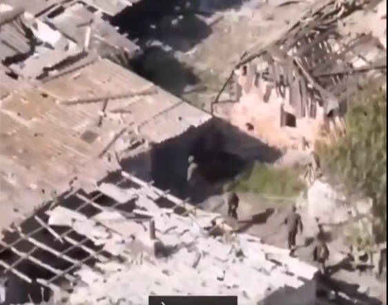 Tamed Orca tweet media