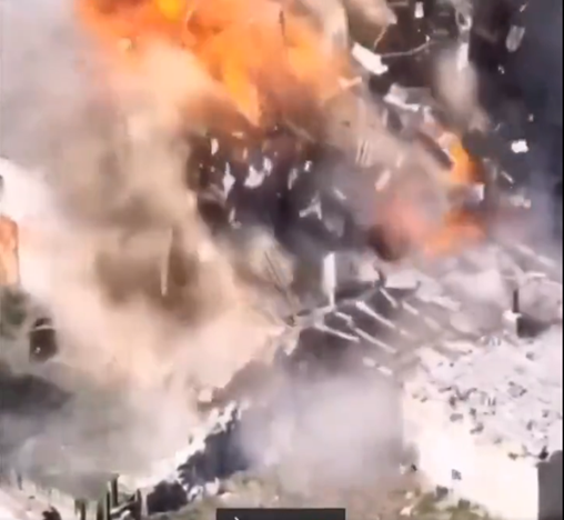 Tamed Orca tweet media