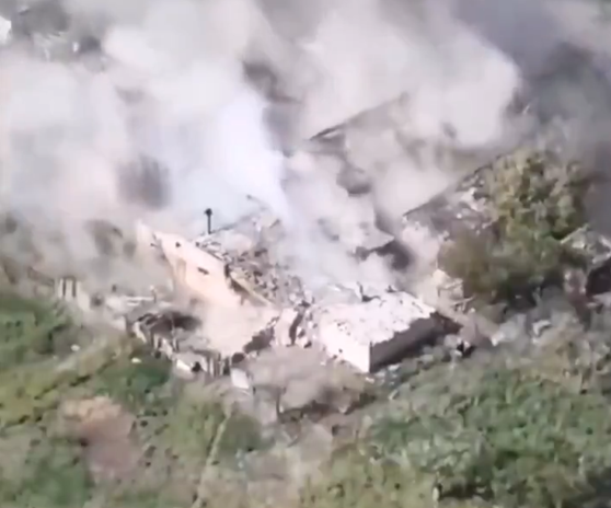 Tamed Orca tweet media