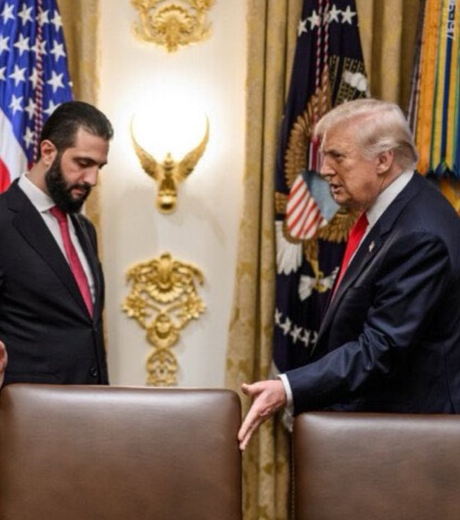 Dr.Amr MD tweet media