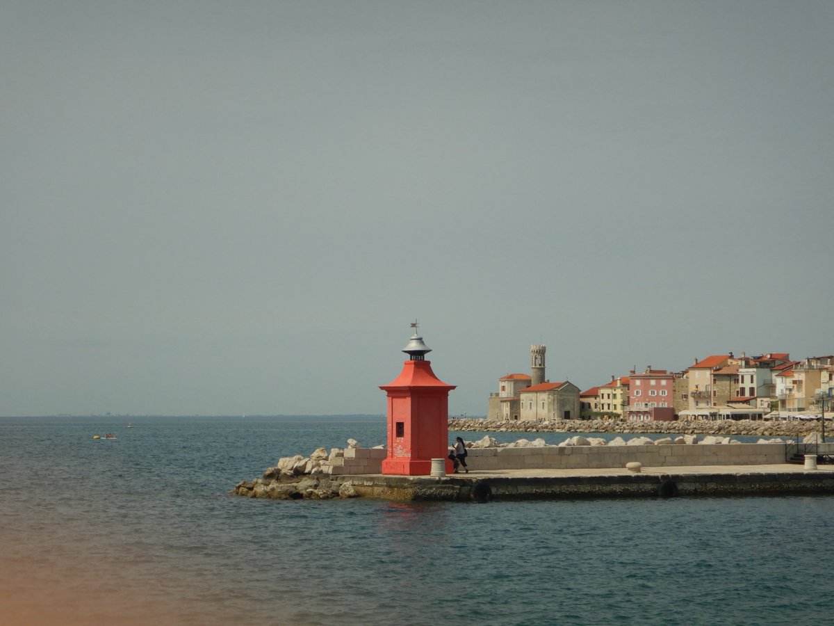 두마출 tweet media