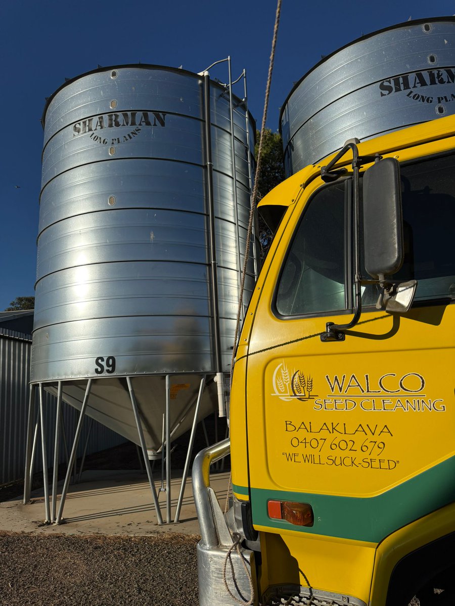 walcoseedau's tweet image. Big jobs need the right setup 🌾

Out here getting it done with precision and reliability. From silo to seed, we make sure every grain counts.

Walco Seed Cleaning - “We Will Suck-Seed!”

#FarmingLife #Agriculture #SeedCleaning #RuralAustralia #HarvestReady