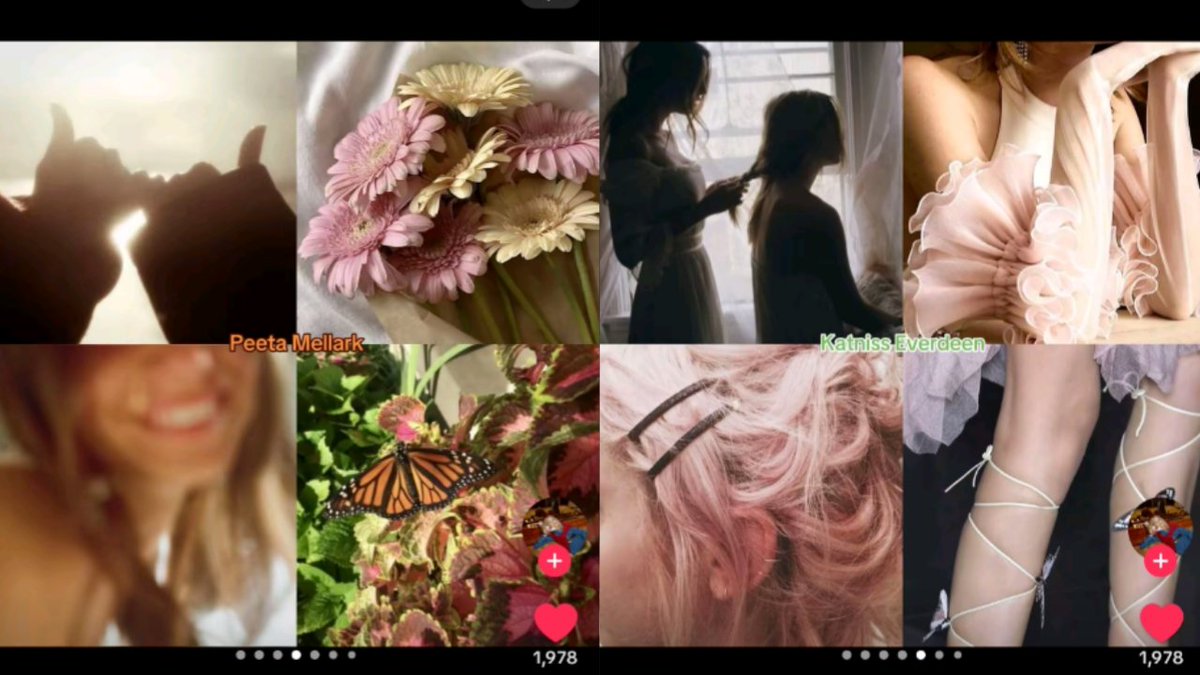 lune • hayffie brainrot since 2023 tweet media