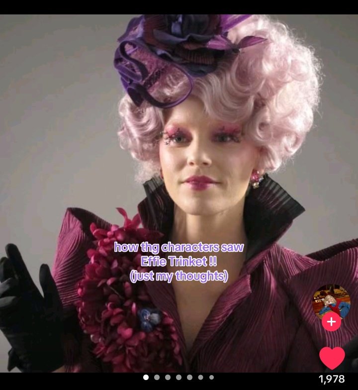 lune • hayffie brainrot since 2023 tweet media