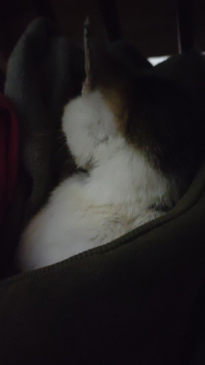 Malena Ortiz🇦🇷 tweet media