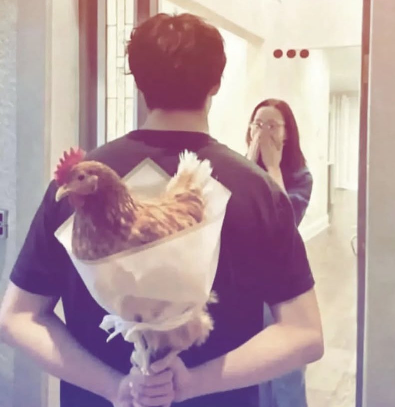 chicken ꕤ tweet media