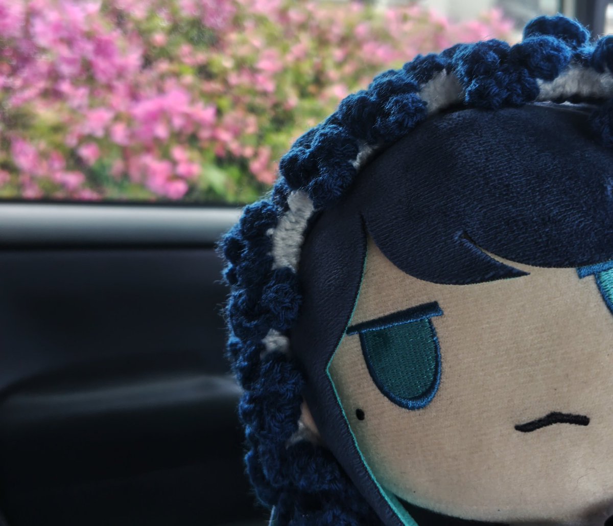 ﾆｬｯｷ(*´ω`*)Adoﾁｬﾝ💙 tweet media