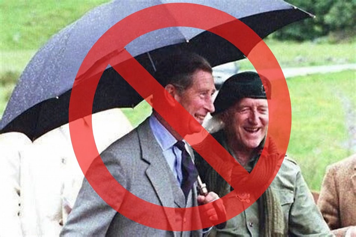 David Mcdonald tweet media