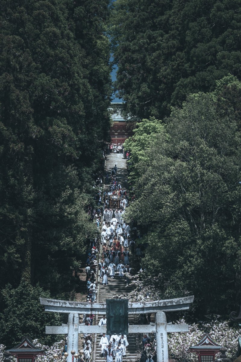 鹽竈神社花まつり

#tokyocameraclub
#東京カメラ部