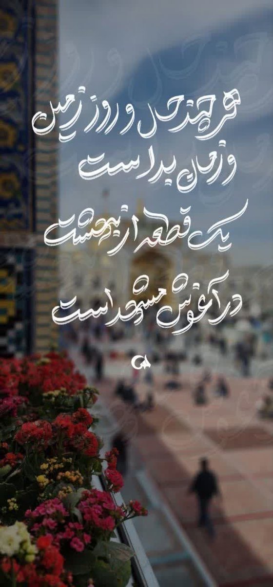 گل نرگس tweet media