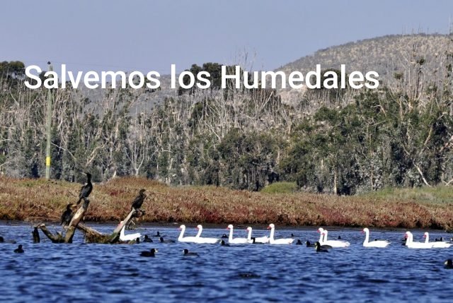 Nadie lo vió venir tweet media