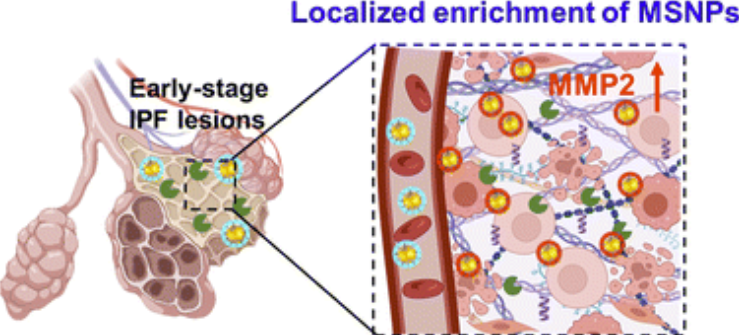 Extracellular Matrix News tweet media
