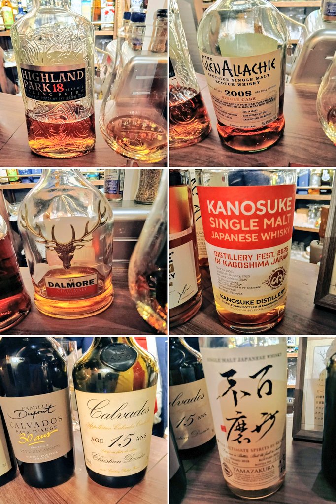 タマちゃん tweet media