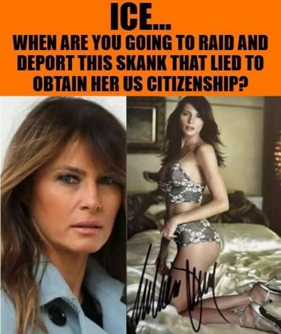 Turquoise Cat tweet media