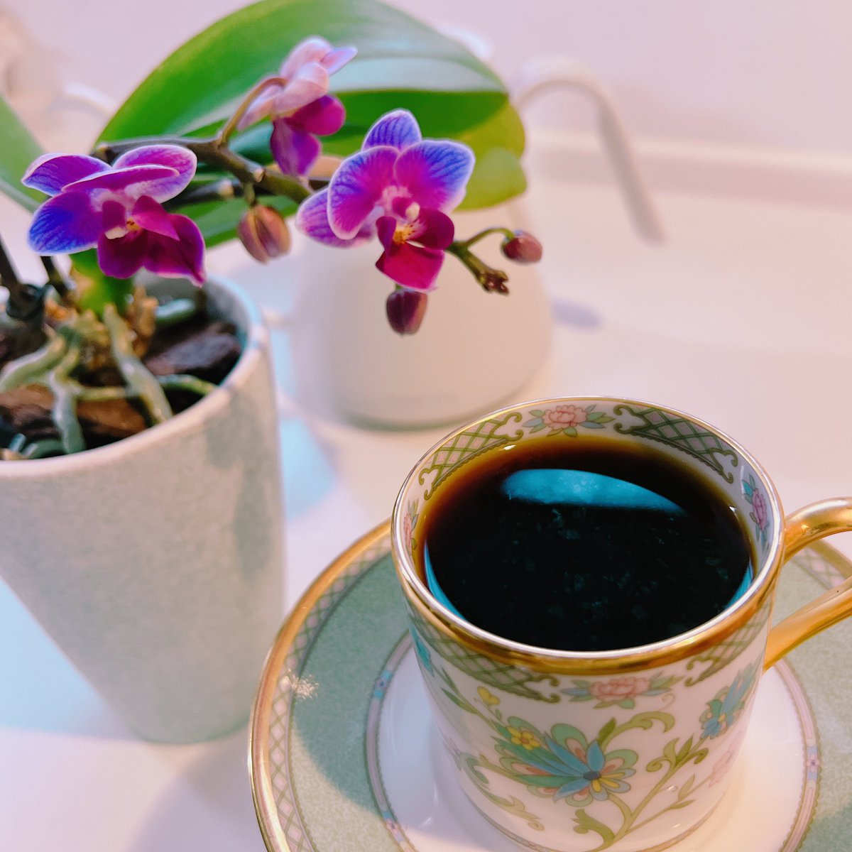 TamaCo_ffee（たまこーひー） tweet media