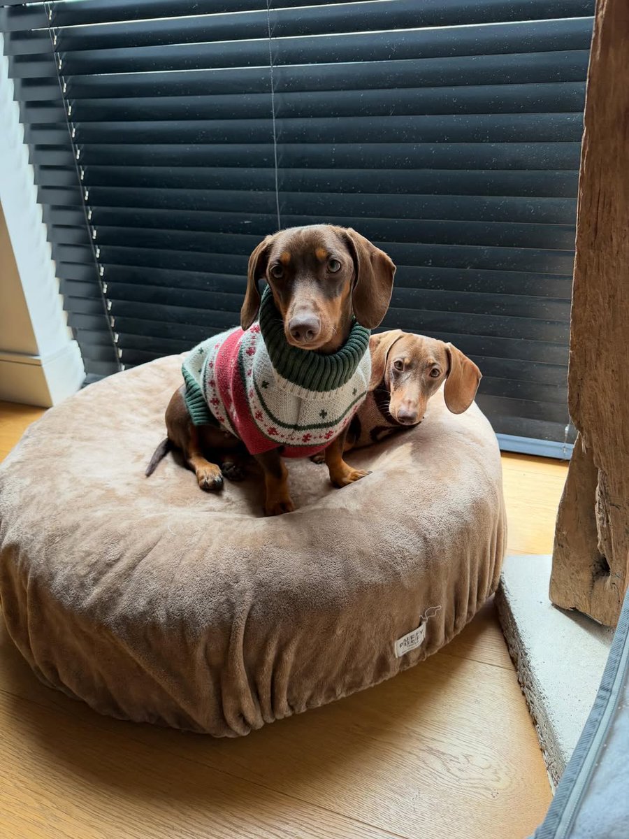 الحب tweet media