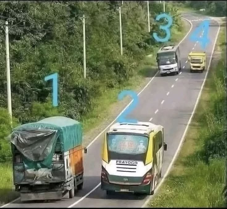 Eliane Dalla Valle tweet media