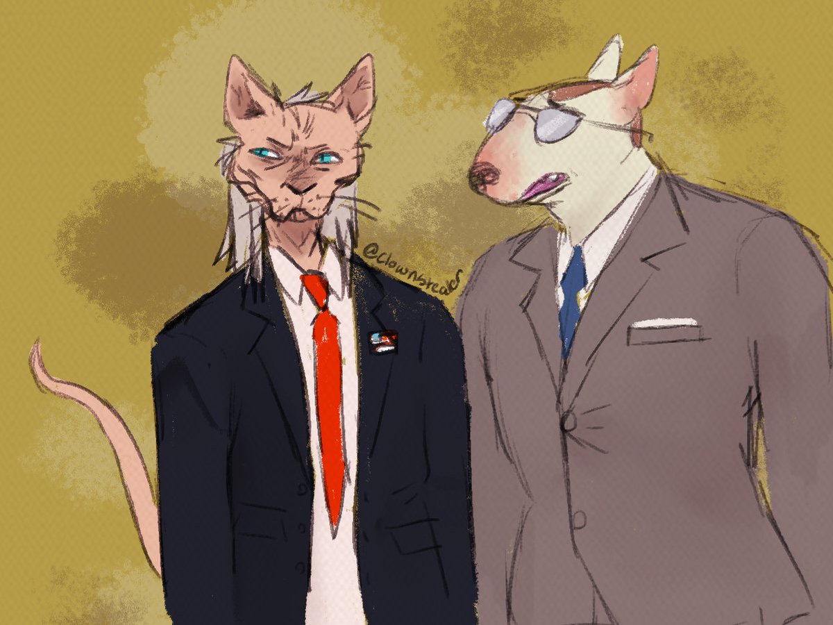 On my furry #doncil agenda (sphynx cecil and bull terrier donald)