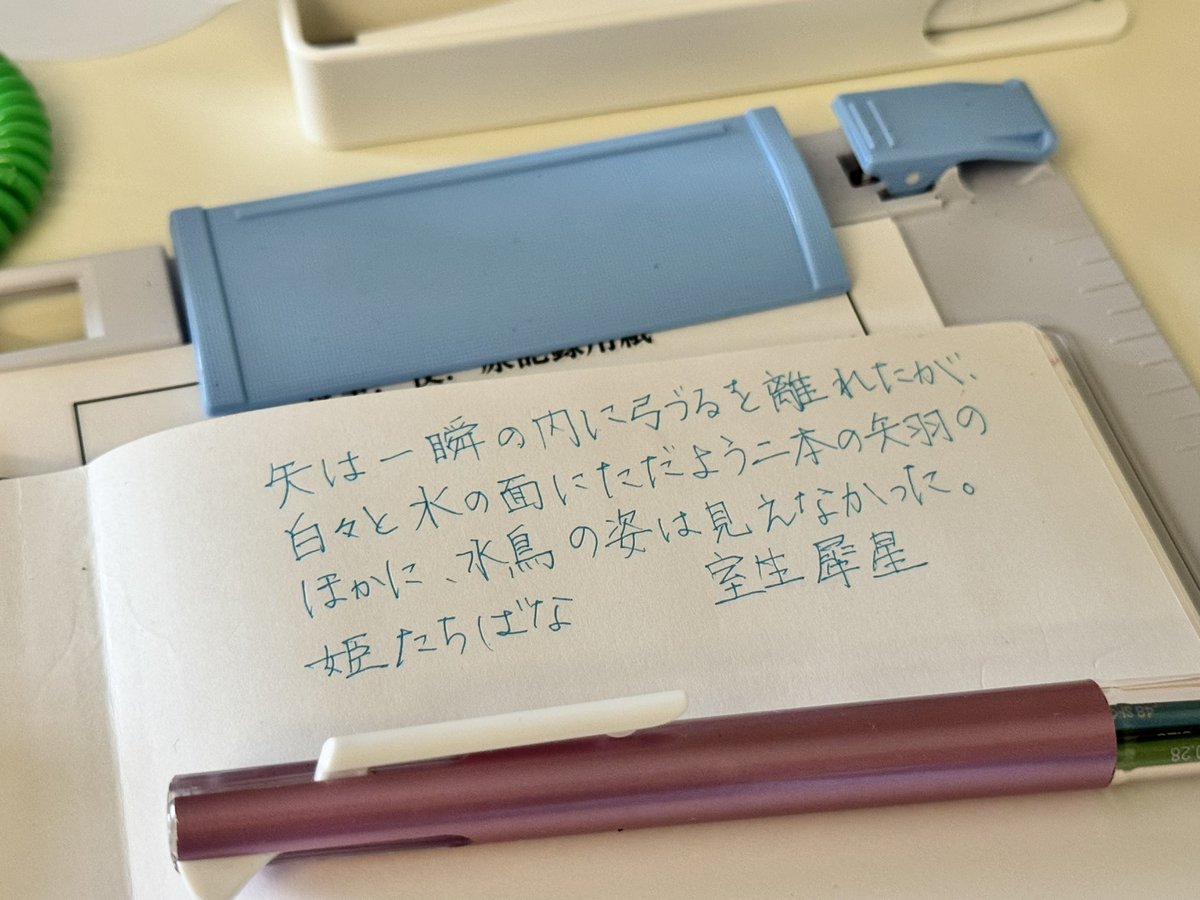 ちゃーりー(*´꒳`*) tweet media