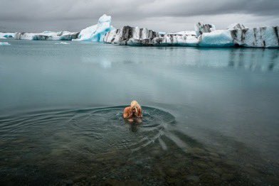 ‎ ‎ً tweet media