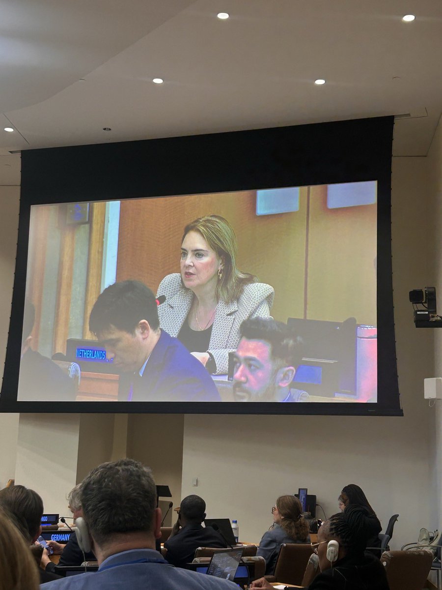KingdomNL at UN tweet media