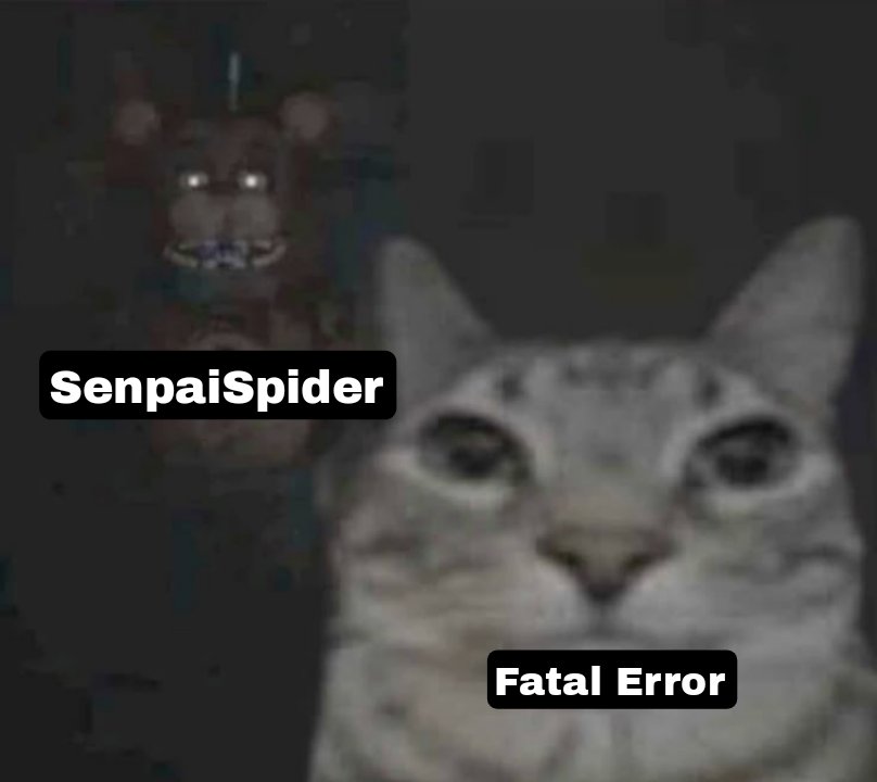 Vale 🦈🌷🦄 tweet media