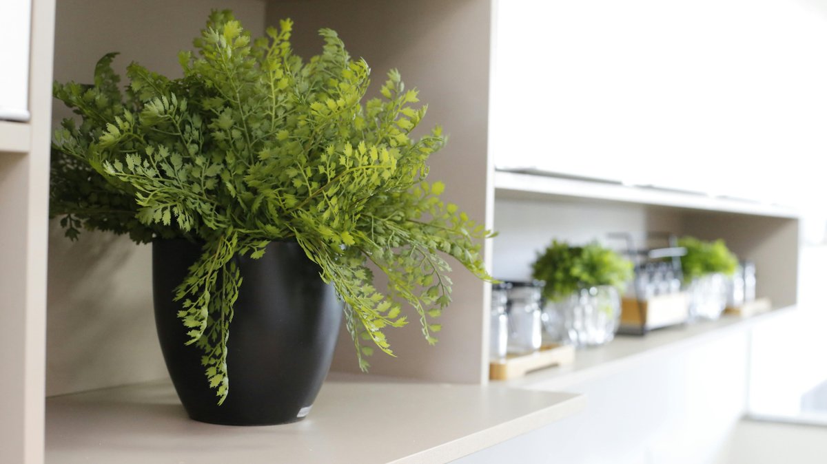 lovemyhomeshop's tweet image. Turn your home into a place you love ✨

Beautiful details and everyday comfort start with thoughtful design.

Explore more:
lovemyhomeshop.com

#LoveMyHomeShop #HomeInspo #InteriorStyle #DecorIdeas