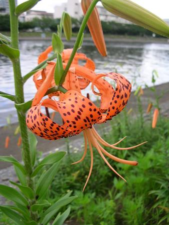 tanosiisupi_bot's tweet image. 正しく賢くあろうと頭をガシガシにして考えるか
隙だらけにしてリラックスし答えの着信を待つか

インテリジェンスの足し算より
傲慢さの引き算

ascension2011.jugem.jp/?eid=2108
〔頭を使うより宇宙とつながる〕
#OnLine #オンライン #Cosmos #宇宙