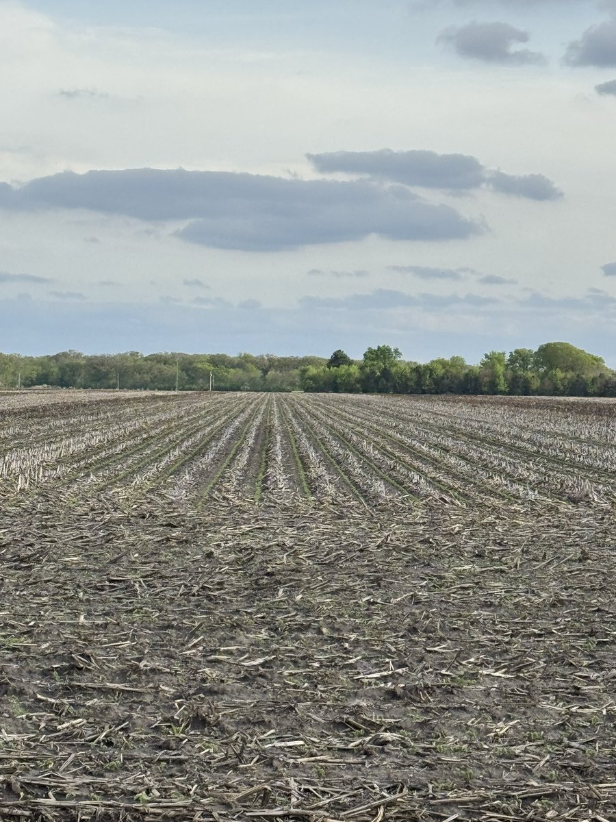 RiverFarmer tweet media