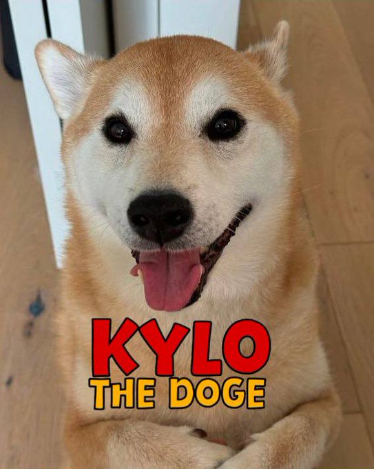 Kylo The Doge tweet media