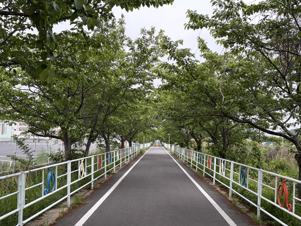 atts73's tweet photo. 朝の軽めライド、市内探検。葉桜のトンネルと古い街並み。
蔵の通りの感じがよろしい。
#AIおじ #ロードバイク #土浦 #朝ライド #りんりんロード https://t.co/sT5i0nDZuO