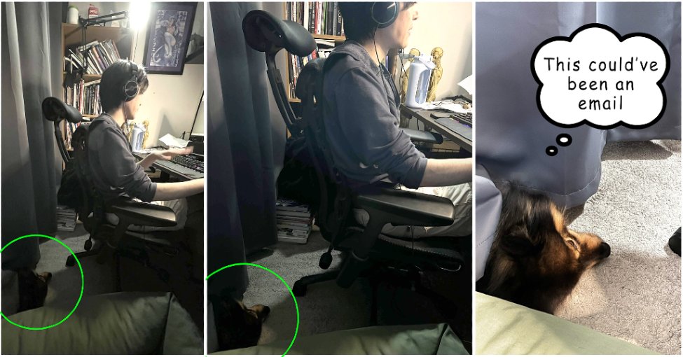 Pie Trap Studios tweet media