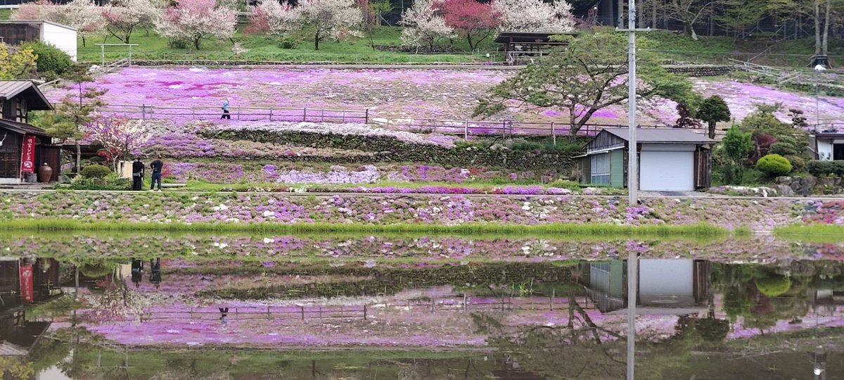 岐阜県郡上市🌸道の駅明宝🌸ここは🐷明宝ハムの郷🏍せせらぎ明宝オートバイ神社誕生！ tweet media